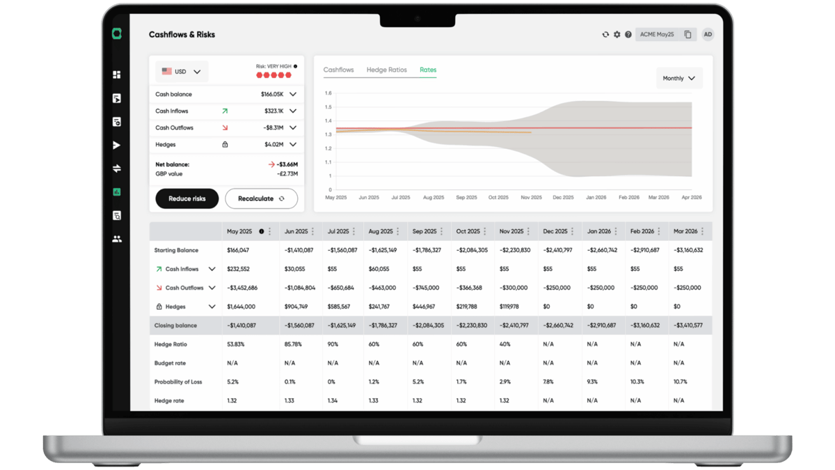 HedgeFlows FX risk management dashboard